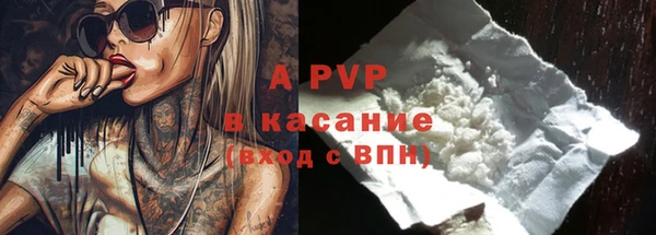 ПСИЛОЦИБИНОВЫЕ ГРИБЫ Козловка