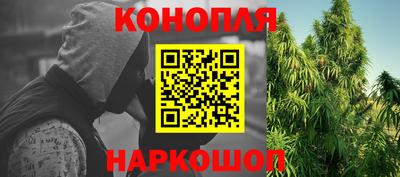 прущие грибы Анапа