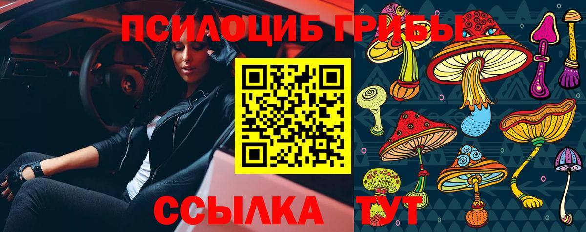 Череповец  Псилоцибиновые грибы Magic Shrooms  Вход с VPN 